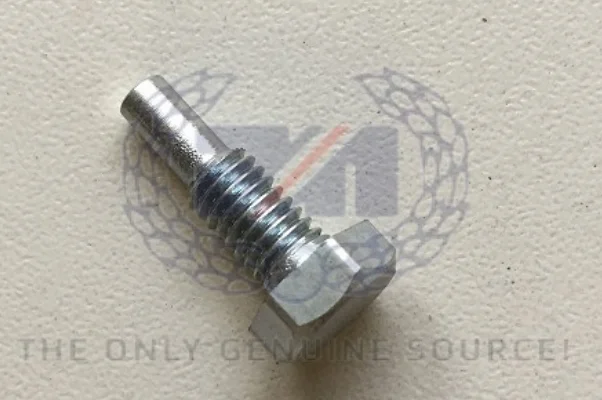 Fork drain screws