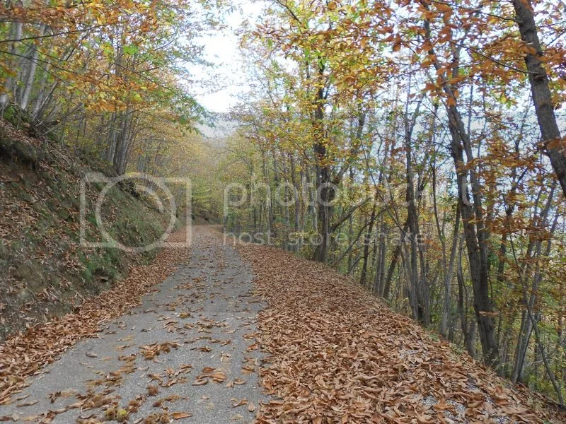 Cévennes