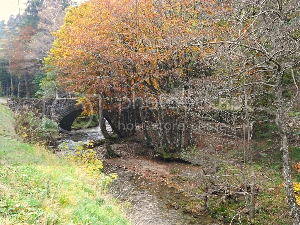 Cévennes