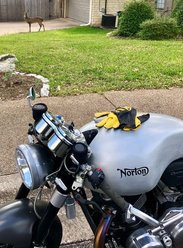 Pictures of your Norton 961