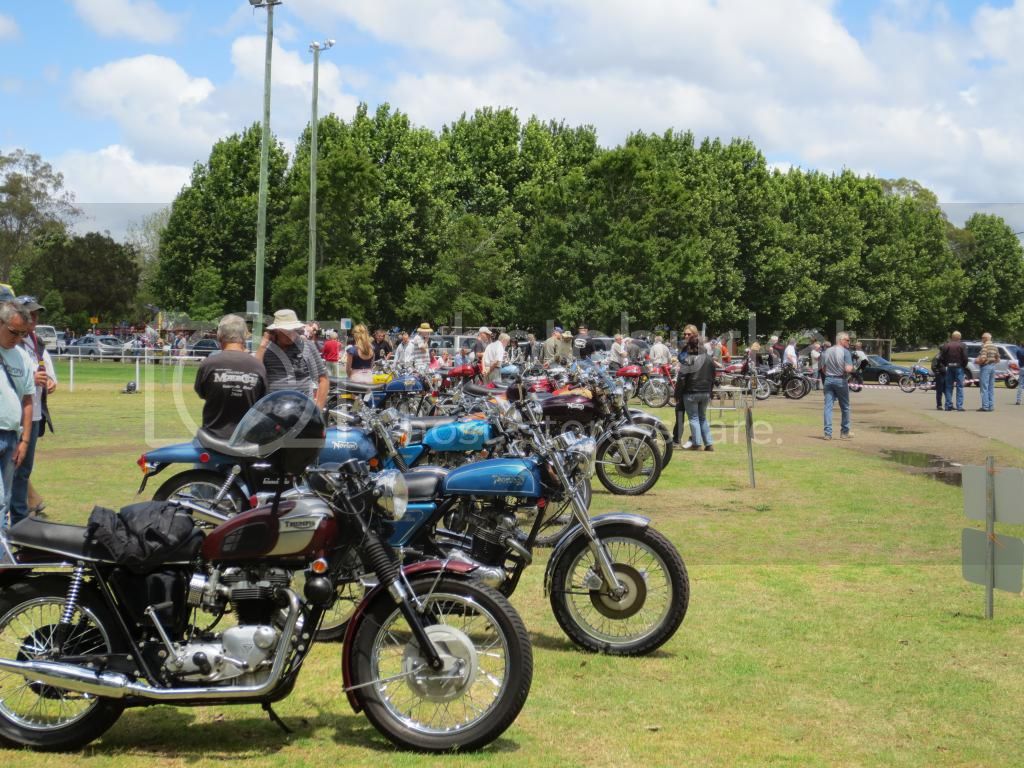 Newcastle classic shop motorcycle club