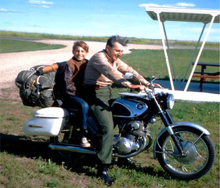 Back rest & Luggage rack combo?