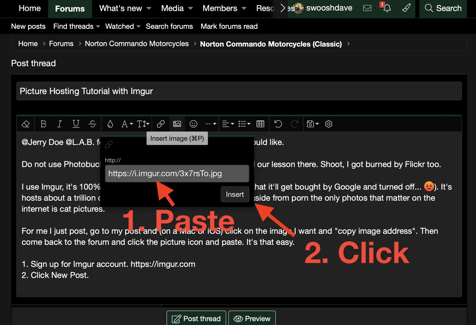 Picture Hosting Tutorial with Imgur