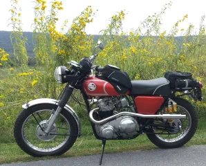 Post Photos of your Norton P11