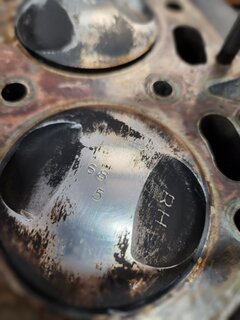 650SS head gasket and pistons