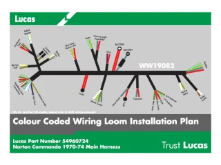 Labled Wiring Harness