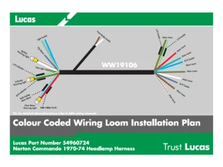 Labled Wiring Harness